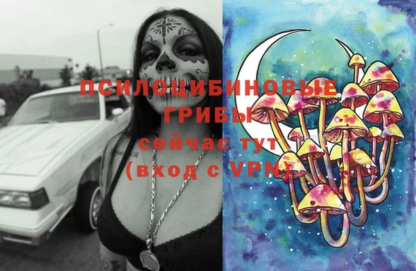 дурь Белоозёрский