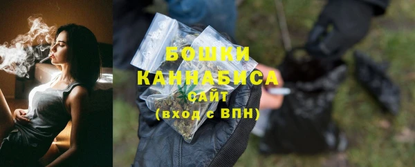 амф Богородск