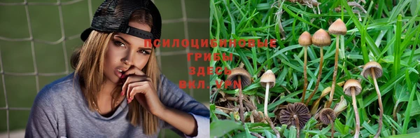 дурь Белоозёрский