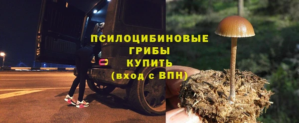 дурь Белоозёрский