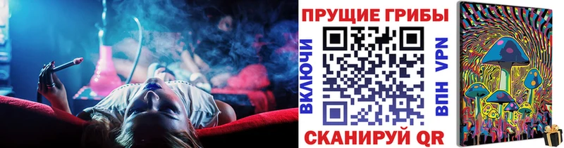 Псилоцибиновые грибы MAGIC MUSHROOMS  это какой сайт  Ельня 